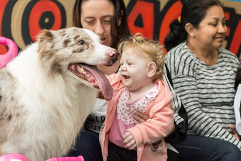 Crianças do Instituto do Câncer de Porto Alegre se divertem com super cães