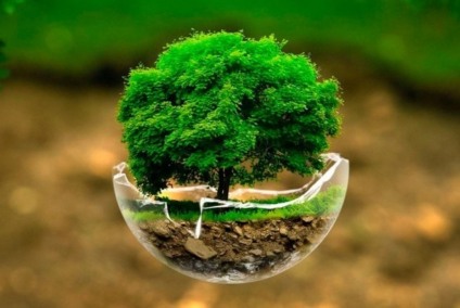 SOS: Dia Mundial do Meio Ambiente