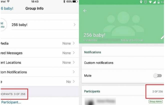 Atualização do WhatsApp permite incluir até 256 pessoas em grupos