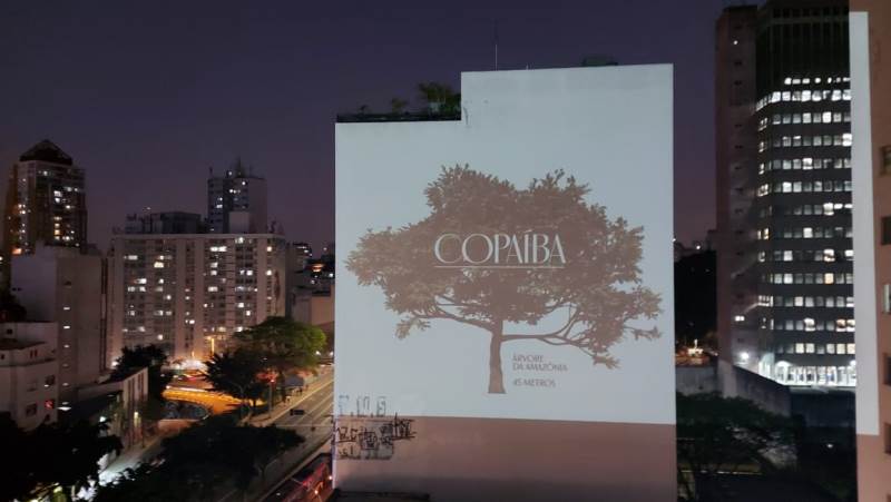 Natura fará projeções visuais em árvores do Ibirapuera