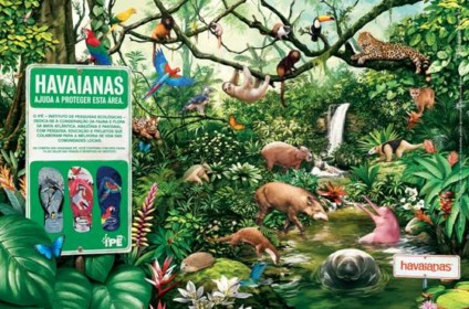 Havaianas reforça compromisso com a sustentabilidade