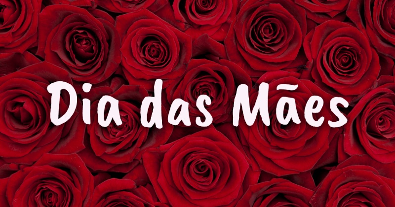 beyonce-tour-brasil550
