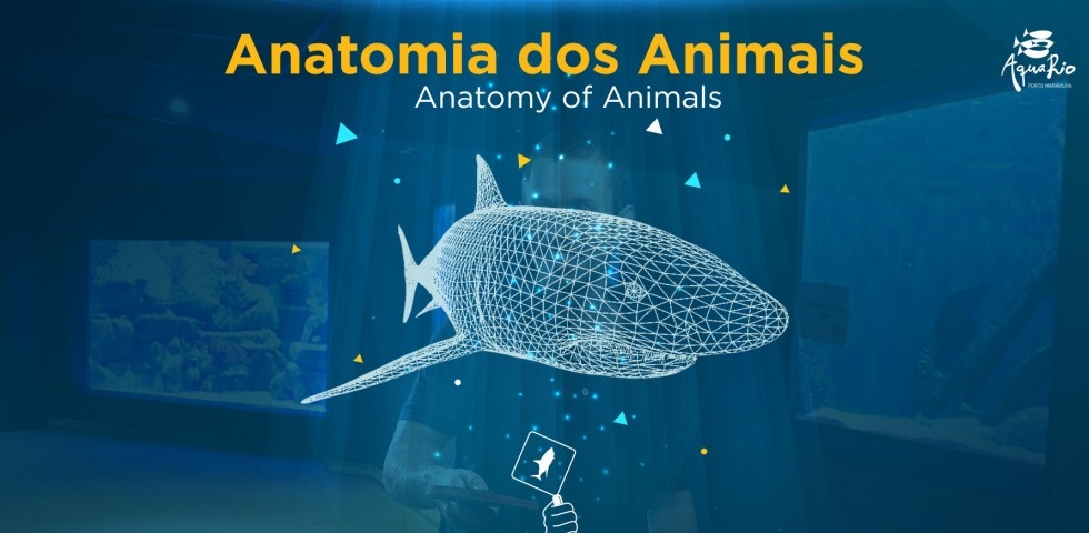 AquaRio quer conquistar visitantes com tecnologia e criatividade AquaRio quer conquistar visitantes com tecnologia e criatividade