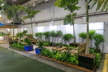 Expo Paisagismo tem novidades para o setor