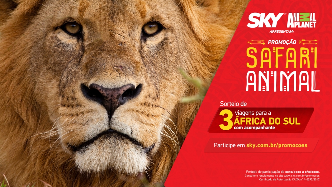 SKY e Animal Planet levam clientes para safári na África do Sul com promoção inédita