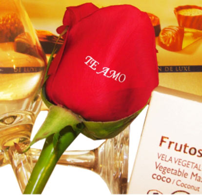 florQdiz apresenta "Speaking Roses"