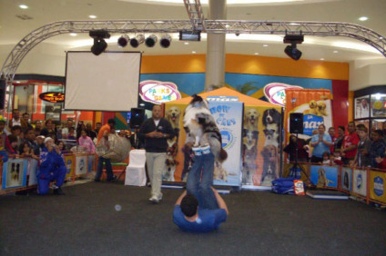 Mauá Plaza apresenta show de cães