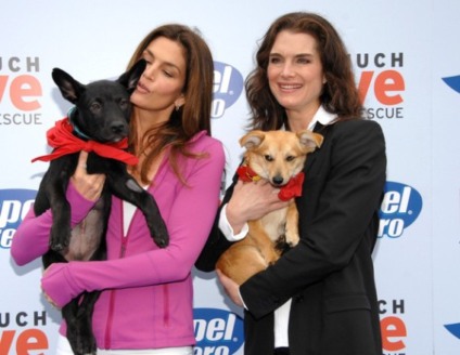 Celebridades, mídia e cães são convidados de evento nos EUA
