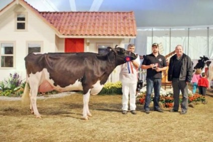 Agroleite terá concurso para seus expositores