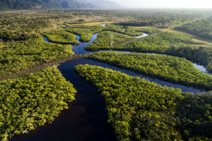WWF-Brasil mobiliza influenciadores