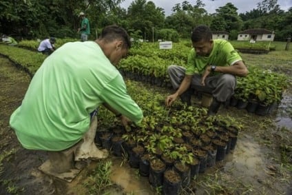 Petrobras e Unesco juntos em projeto social