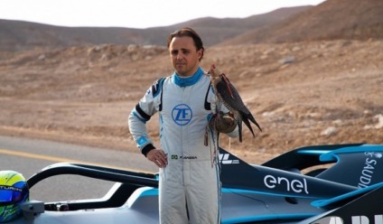 Felipe Massa disputa corrida com falcão-peregrino