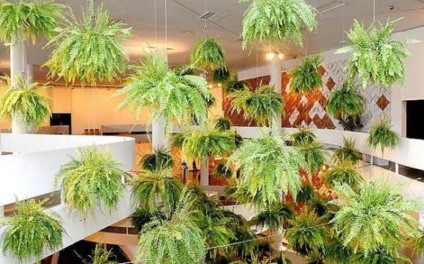 Jardim com 1,5 mil samambaias conquista público da SPFW Jardim com 1,5 mil samambaias conquista público da SPFW