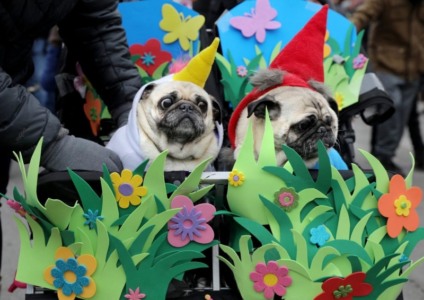 Purina Parade celebra o Halloween no Parque Villa Lobos