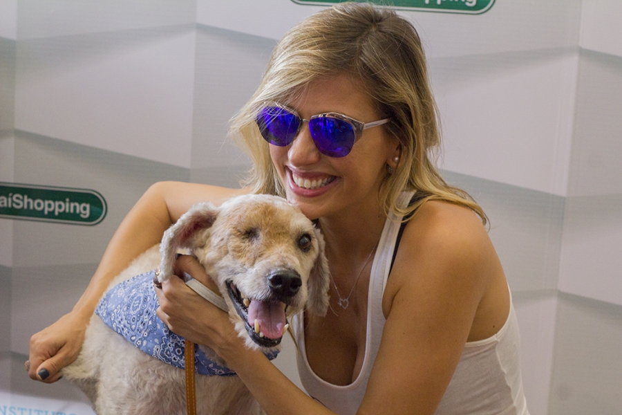 MorumbiShopping promove evento de adoção de animais em parceria com Instituto Luisa Mell