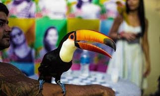 Recreio Shopping promove Encontro de Aves Silvestres e Exóticas