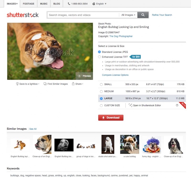 Shutterstock lança busca reversa por imagens e pesquisa avançada por imagens semelhantes