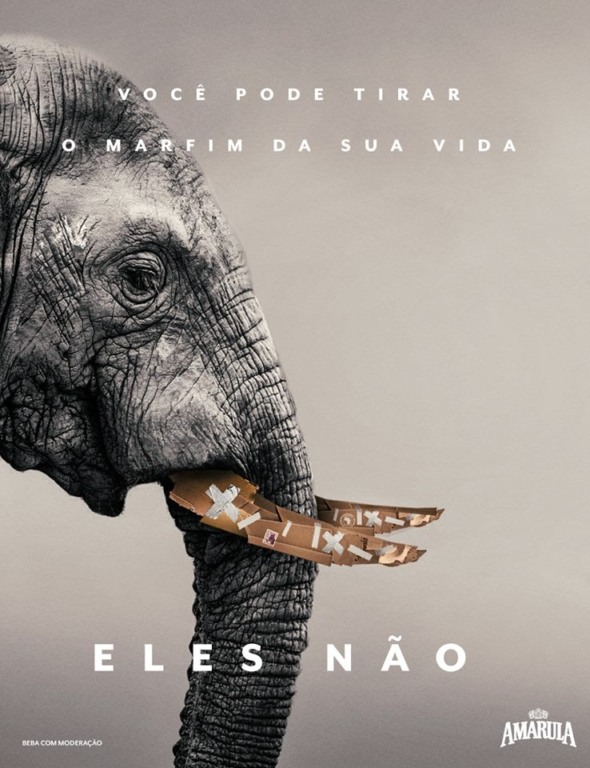 Amarula e Santuário dos Elefantes se unem pela preservação dos Elefantes