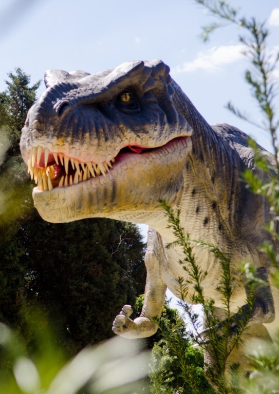 Um passeio pelo Mundo dos Dinossauros nas Férias do Shopping Interlagos