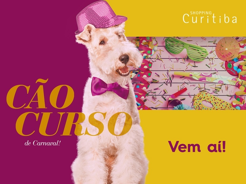 “Cãocurso” de fantasias e bailinho de carnaval vai reunir pets estilosos em shopping