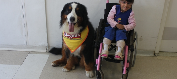 Cão Magnus visita AACD Mooca