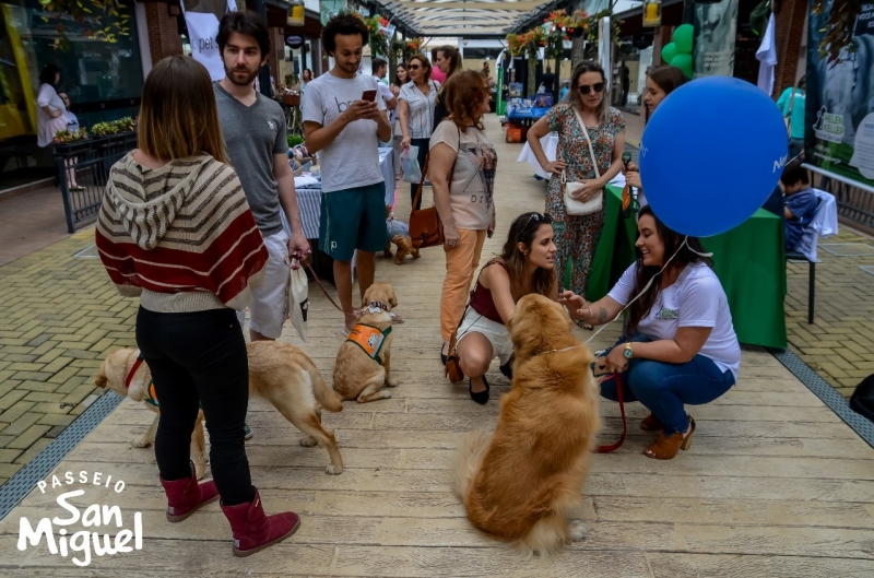 “Passeio Pet” terá feira de adoção