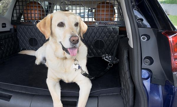 Nissan apresenta crossover amigo dos animais no Salão de Nova Iorque