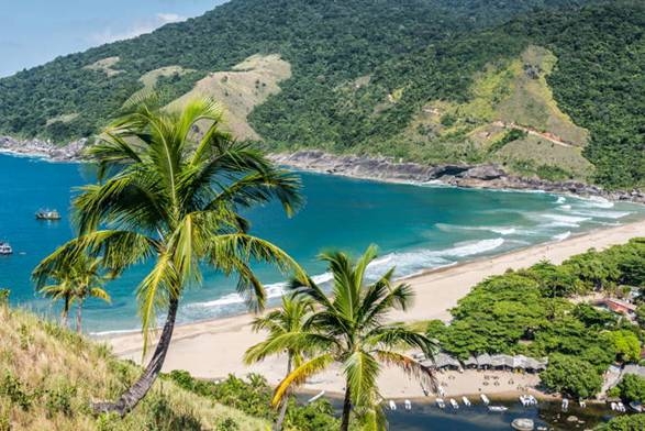 Braztoa se prepara para programação intensa em Ilhabela