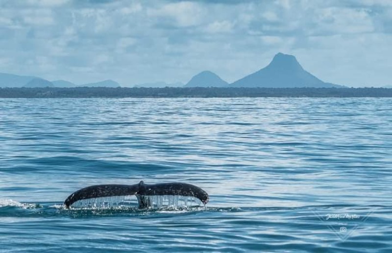 Parque Nacional de Abrolhos reabre para visitação