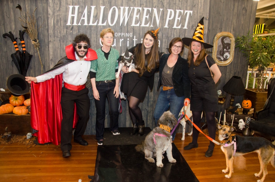 Pets fantasiados de Drácula, bruxa e Viação do Terror vencem concurso de Halloween