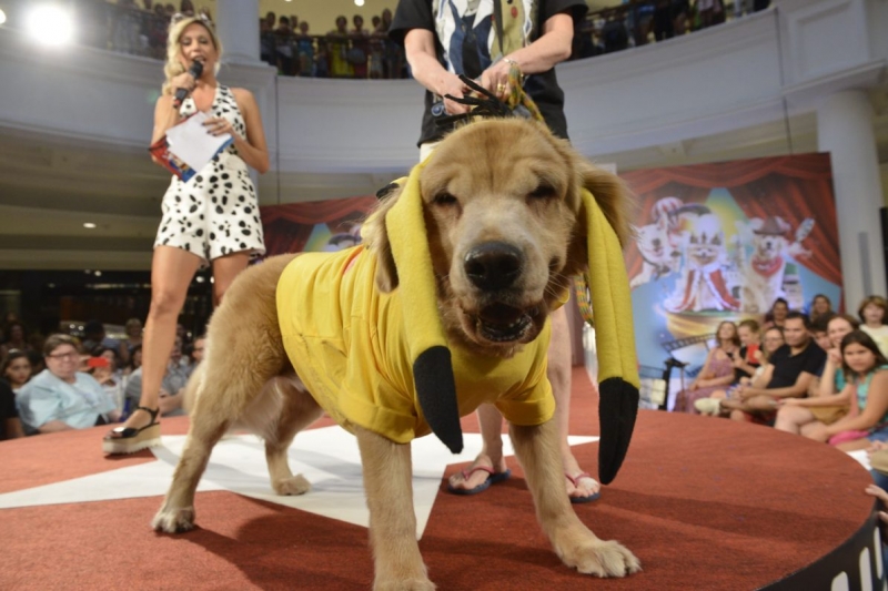 Shopping Pátio Higienópolis realiza Pet Day