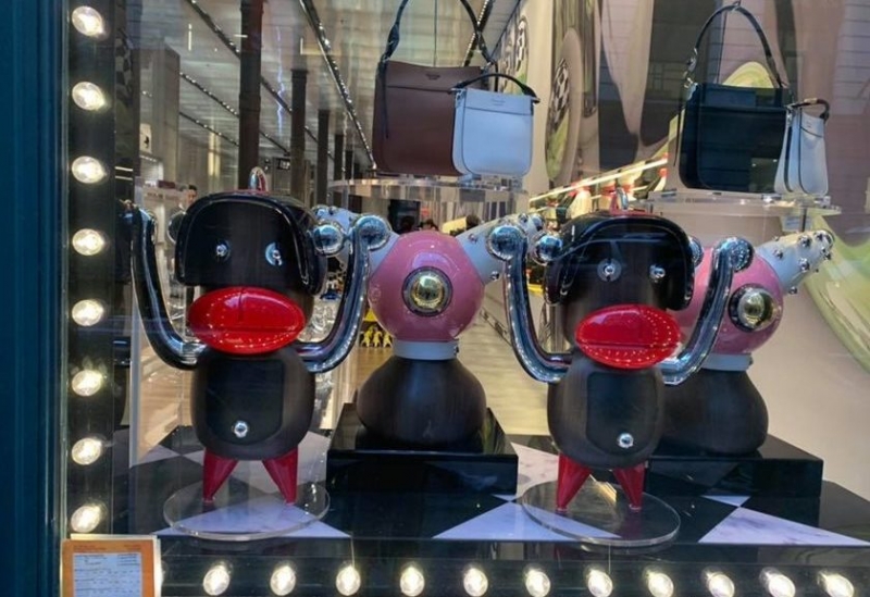 Macaco da Prada gera polêmica Macaco da Prada gera polêmica