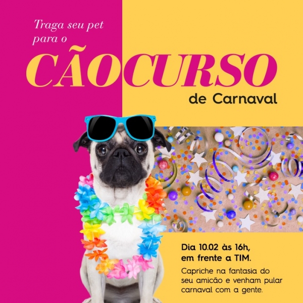 CãoCurso e feira de adoção no Catuaí Maringá