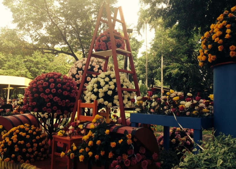 Carnaflores, em Holambra, tem desfile de carros alegóricos e distribuição de flores