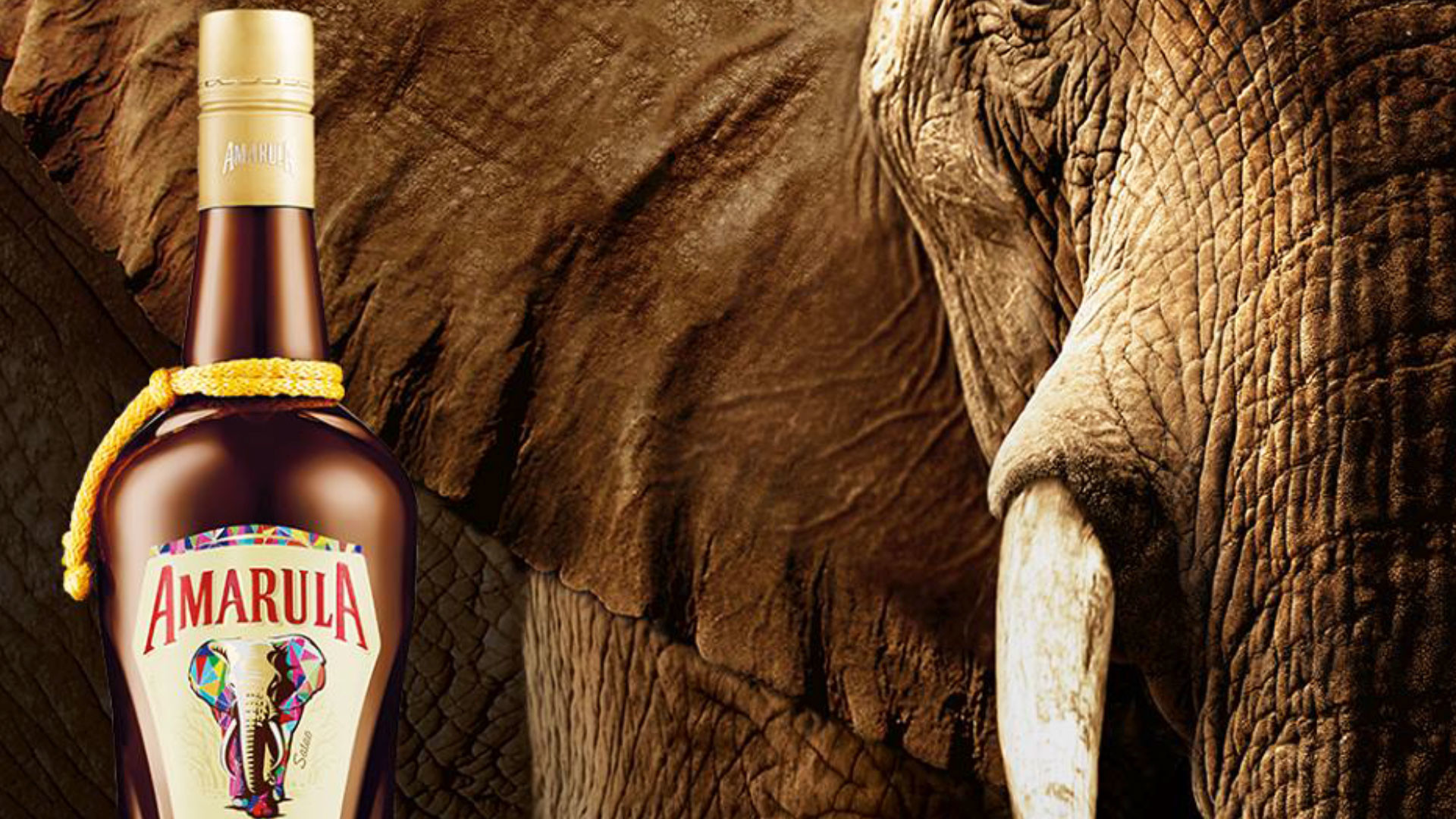 amarula elefantes