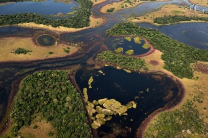 Cuiabá é palco da exposição "O Pantanal é Aqui"