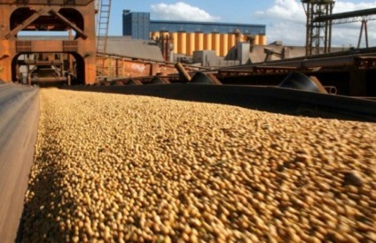 MT mantém segundo lugar no ranking do agronegócio