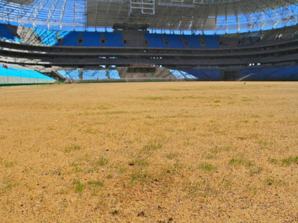 Grêmio tentará levar UFC 156 para a Arena