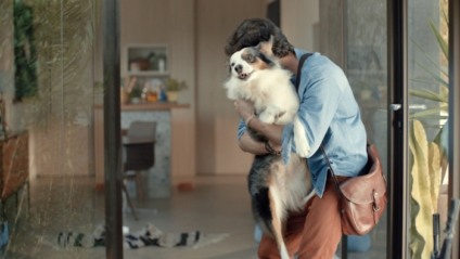 Special Dog destaca relação de afeto entre donos e seus animais