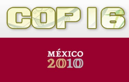 Evento paralelo na COP-16 discute investimentos verdes