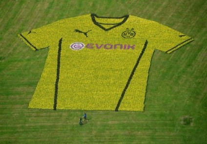 Mosaico de flores apresenta camisa do Borussia