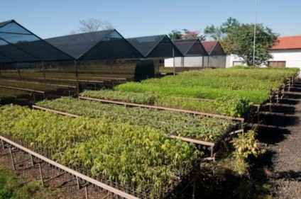 Brasil Kirin e SOS Mata Atlântica recuperam mananciais