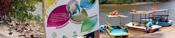 Associação Peixe-boi – A conscientização sobre a importância de se preservar o ambiente do peixe-boi marinho (Trichechus manatus) é desenvolvido pela Associação Peixe-boi através de visitas monitoradas em áreas naturais onde o peixe-boi vive, o rio Tatuamunha, na cidade de Porto de Pedras. – Brasil – al – Porto de Pedras – Rio Tatuamunha – […]