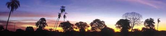FundTur promove workshop em Campo Grande