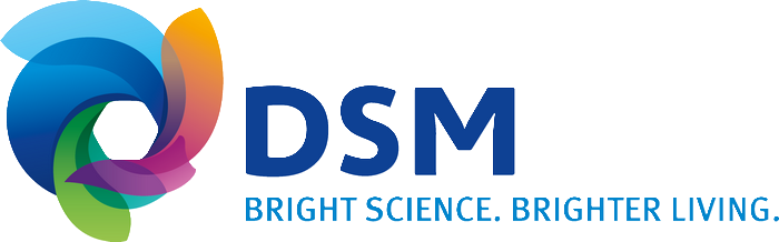 DSM participa do Seminário Automóvel & Sustentabilidade