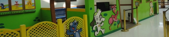 Byside cria experiência de marca para o canal Discovery Kids