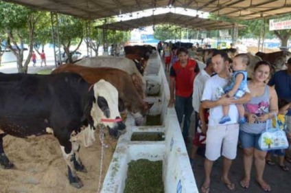 Expoagro quer movimentar R$ 40 milhões em 2013