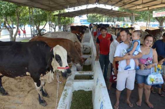 Expoagro quer movimentar R$ 40 milhões em 2013