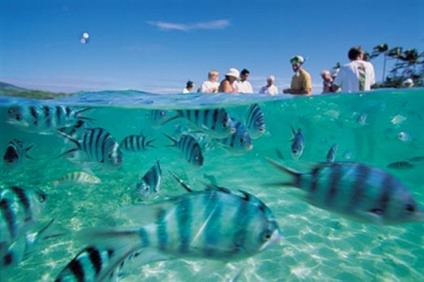 Tourism Fiji promoverá visita de operadoras de turismo