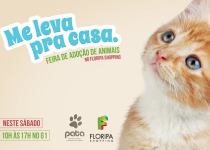 Massagem é atração na feira pet de adoção do Floripa